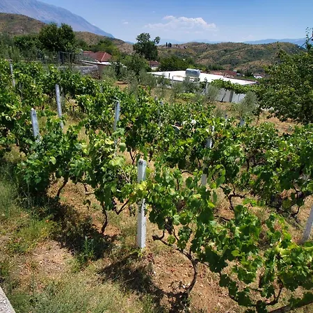 Bed & Breakfast Shametaj Saraqinishte